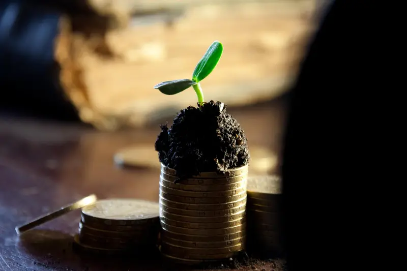 Green seedling growing from soil on top of a stack of coins